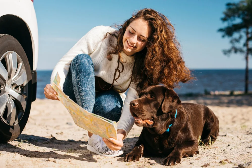 Balancing the Digital Nomad Life with Pet Care: Tips for Remote Workers on the Move